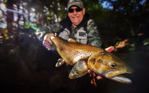 10001142_10152795106273709_5543946112364996257_o