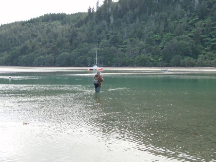 10255616_310729485743093_6624530768680225021_n