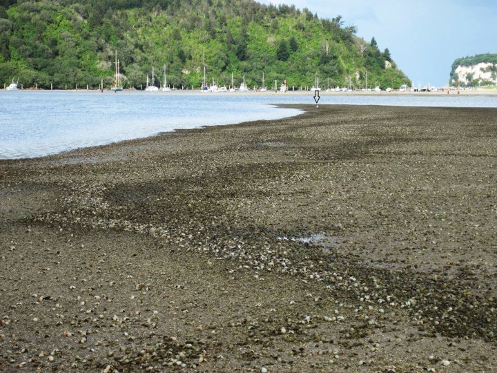 1939923_1467253140175568_2126138978740363587_o