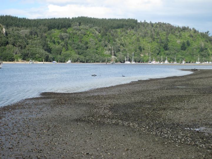 859905_310729972409711_978891265899173553_o