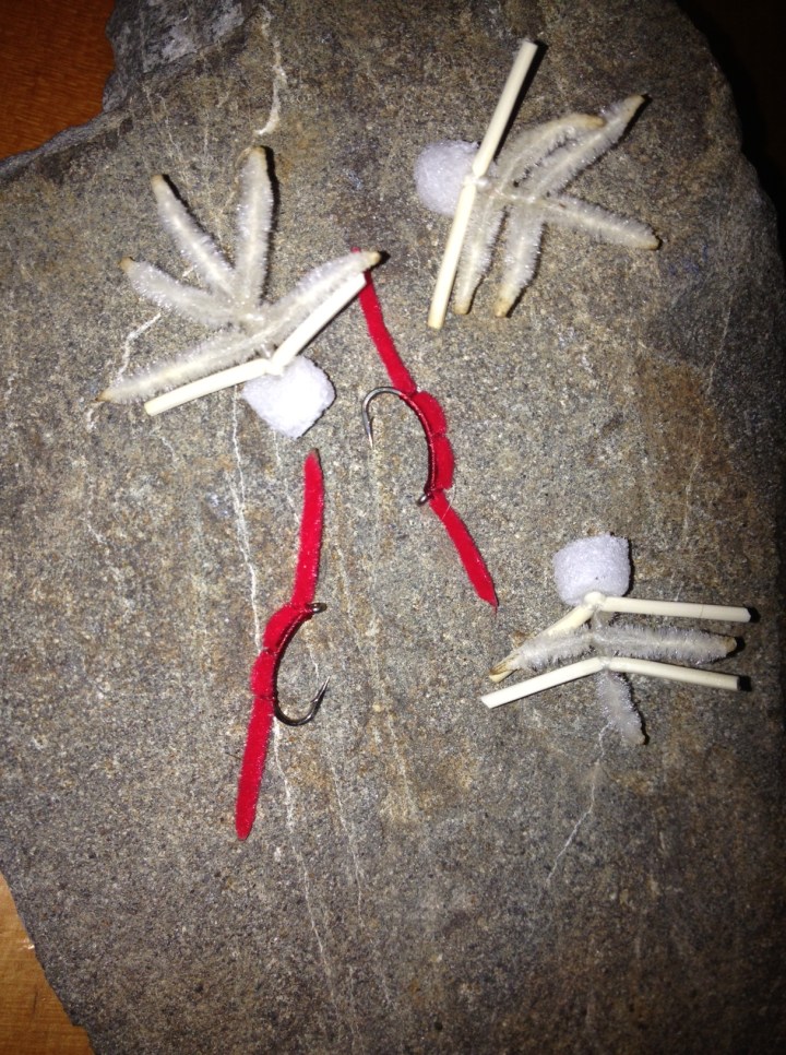 Version Two -Maggot flies and SJ worms