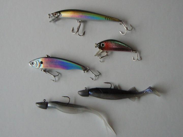 10258065_316980248451350_5004911001706371514_o