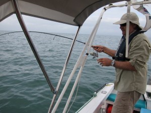 Hooked up on softbait rod