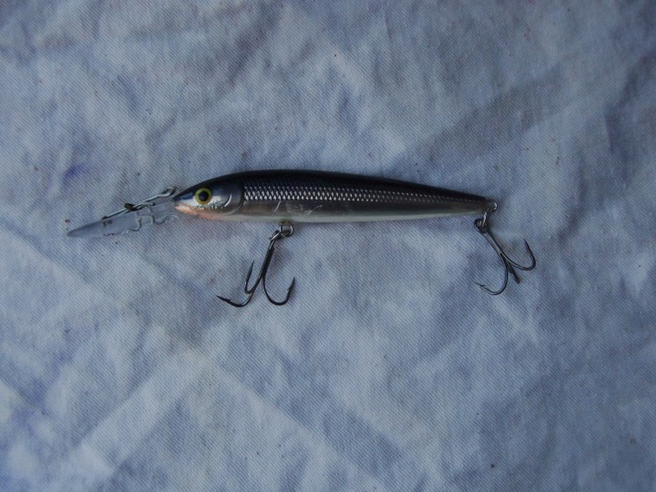 10485411_357731391042902_5303804076281026812_o