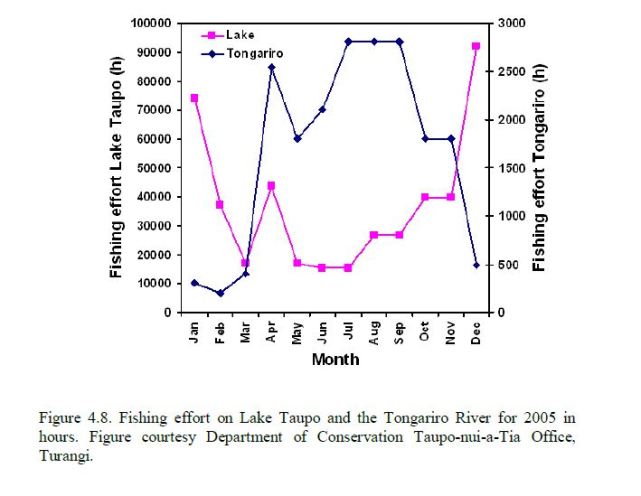 angling-effort-tongariro