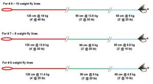 11046336_480334418782598_7507308046006797084_n