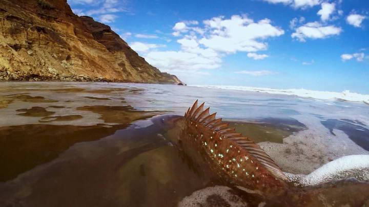 1622581_1460527137510651_185964250_o