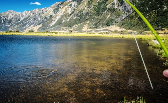 Photo Frank Richards