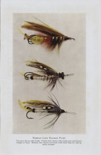 wanless flies 2