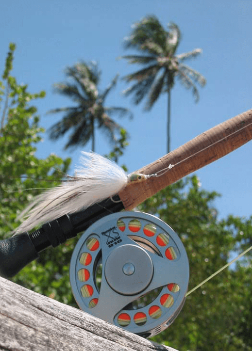 TRopical reel and fly