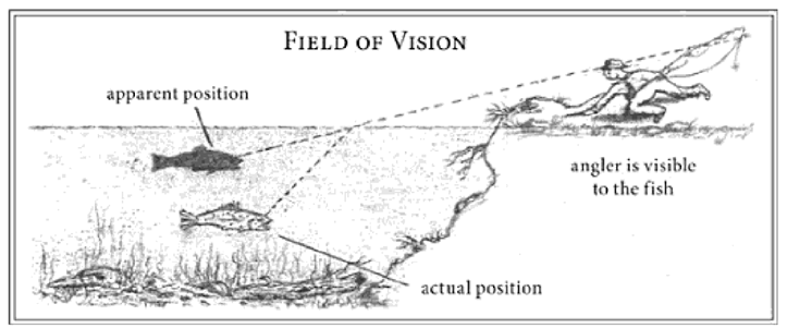 field-of-vision